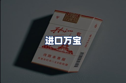 进口万宝